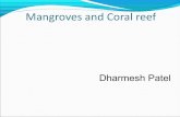 Mangroves and coral reefs