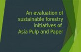 An evaluation of sustainable forestry initiatives of APP