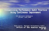 Streamlining Audit Practice Using Continuous Improvement