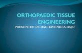 Orthopaedic tissue engineering