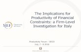 The Implications for Productivity of Financial Constraints: a Firm-Level Investigation of Italy