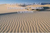 Arid Aeolian Landform