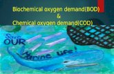 Biochemical oxygen demand(bod)