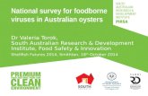 Foodbourne viriuses in australian oysters   valeria torok