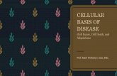 Bio 134 Pathology: Cellular basis of disease