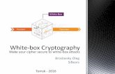 White box cryptography