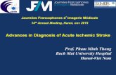 Pham minh thong  advances in diagnosis of Acute Ischemic Stroke jfim hanoi 2015