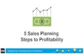 Sales Planning for Profitability in 5 Steps