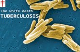 Tuberculosis- The white death
