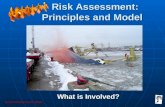 Dynamic risk assessment lrg