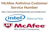 Mcafee antivirus customer service toll free helpline phone number