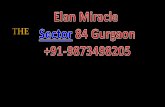 Elan miracle gurgaon +91-9873498205