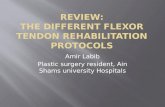 Review of rehabilitation protocol after Flexor tendon injuries