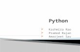 Python Programming Basics