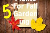 5 Plants For Fall Gardening