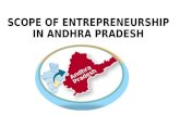 Scope of entrepreneurship in AP-Telangana