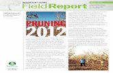 Paramount Field Report: Winter 2012