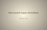 Deceased organ donation