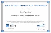 ECM Master Certificate Wensink