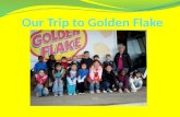 Our Trip To Golden Flake
