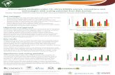 Intercropping strategies under conservation agriculture: Africa RISING science, innovations and technologies with scaling potential from ESA-Zambia