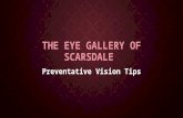 The Eye Gallery of Scarsdale - Preventative Vision Tips