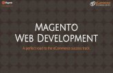 Magento web development | Magento Developers for hire