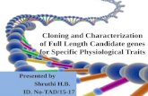 Cloning and characterization of full length candidate genes
