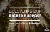 Discovering our higher purpose - Introduction