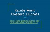 Victory martial arts mount prospect presentation