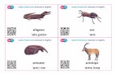 SupEFL audio flashcards: animals in english set 1 handdrawn