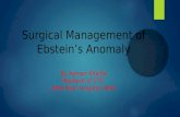 Surgical management of Ebstein’s anomaly (by Ayman Khalifa)