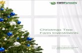Christmas Tree Farm Investments Brochure 2015 Euro -V1.1