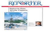 American Oil & Gas Reporter December 2010