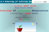 Sec.4 Overview of Cellular Respiration by Hamdy Karim.