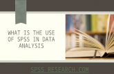 What Is the Use of SPSS in Data Analysis