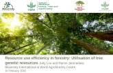Resource use efficiency in forestry: Utilisation of tree genetic resources