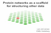 Protein networks as a scaffold for structuring other data