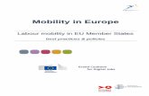 D3 2 labour mobility in EU member states  best practices  policies digital jobs template def[3]
