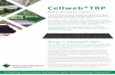 Brochure - Cellweb TRP 2 Page