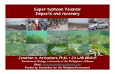 Super Typhoon Yolanda: Impacts and Recovery