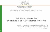 Uruguay Ministry of Livestock, Agriculture and Fisheries (MGAP) strategy for the evaluation of agricultural policies