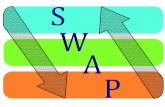 SWAP model short view