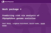 WP4: Predicting risk via analysis of Phytophthora genome evolution