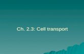 Ch. 2.3 Cell transport