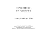 Perspectives on resilience
