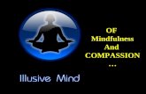 Of Mindfulness And Compassion ... A Reflection