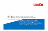 Big data societal externalitites. Results from the BYTE case studies