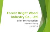 Forest Bright Wood Industry Company