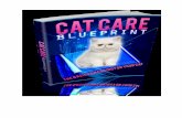 Cat care blueprint